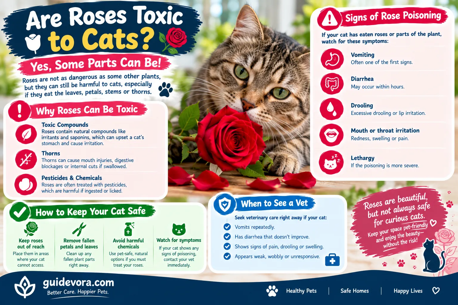 Are Roses Toxic to Cats