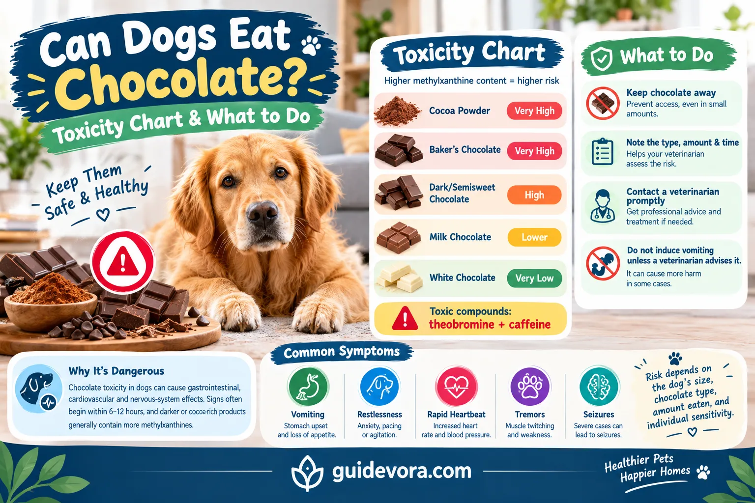Can Dogs Eat Chocolate? Toxicity Chart & What to Do