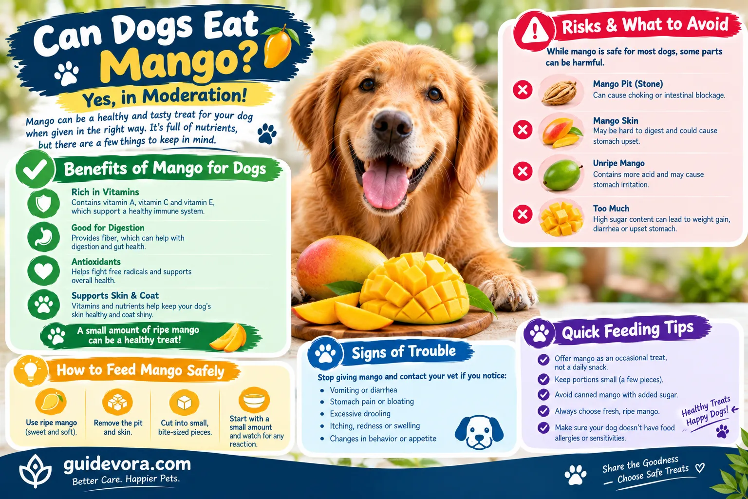 Can Dogs Eat Mango
