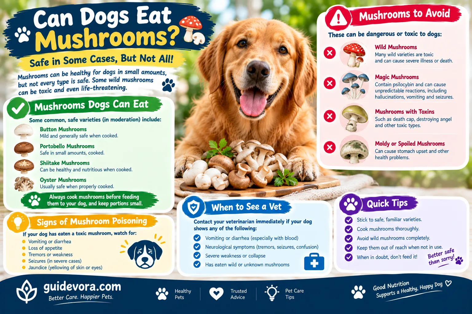 Can Dogs Eat Mushrooms