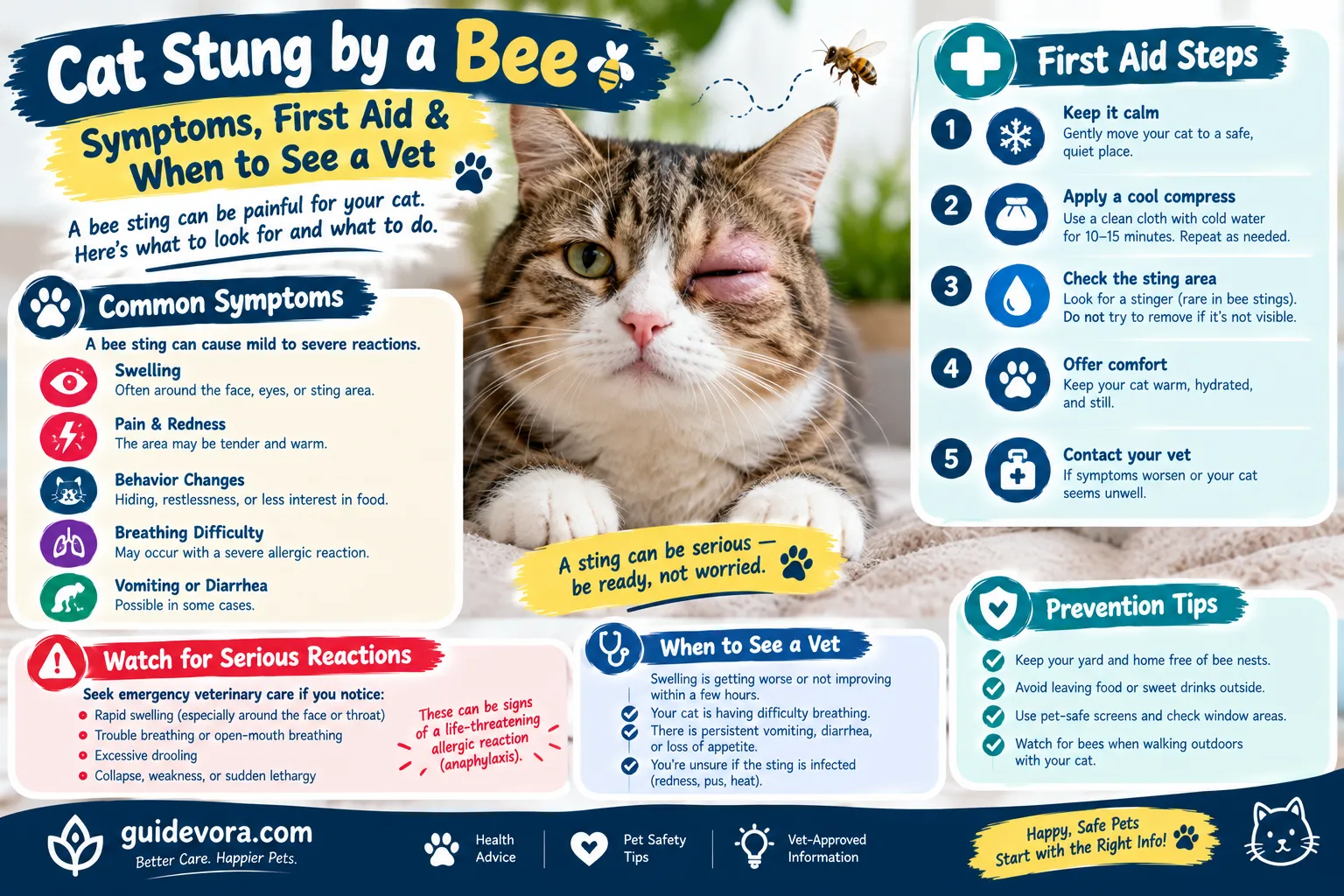 Cat Stung by a Bee?