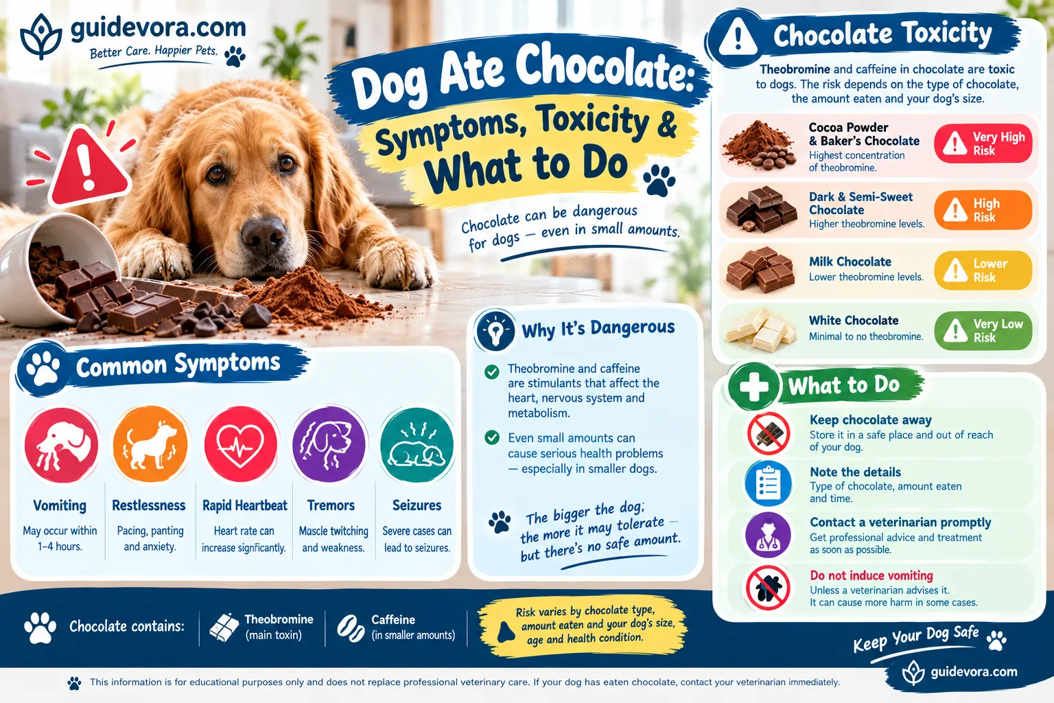 Dog Ate Chocolate