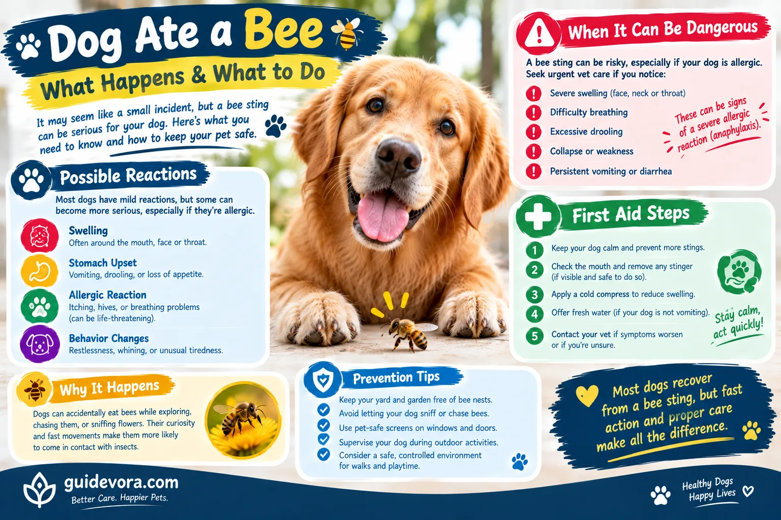 Dog Ate a Bee