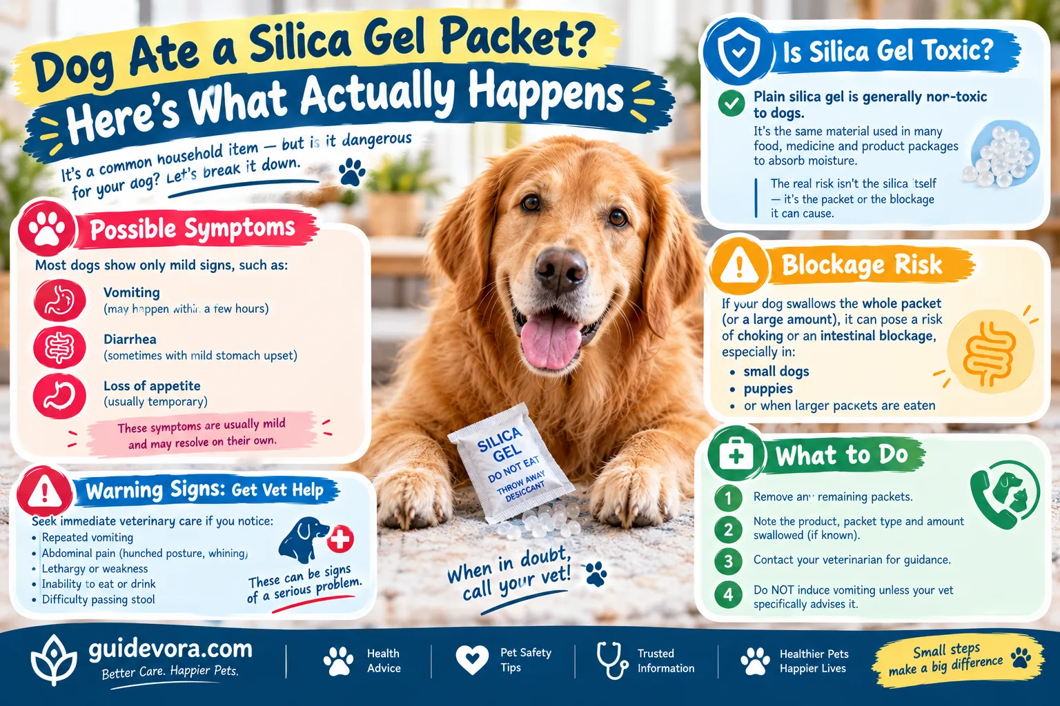Dog Ate a Silica Gel Packet