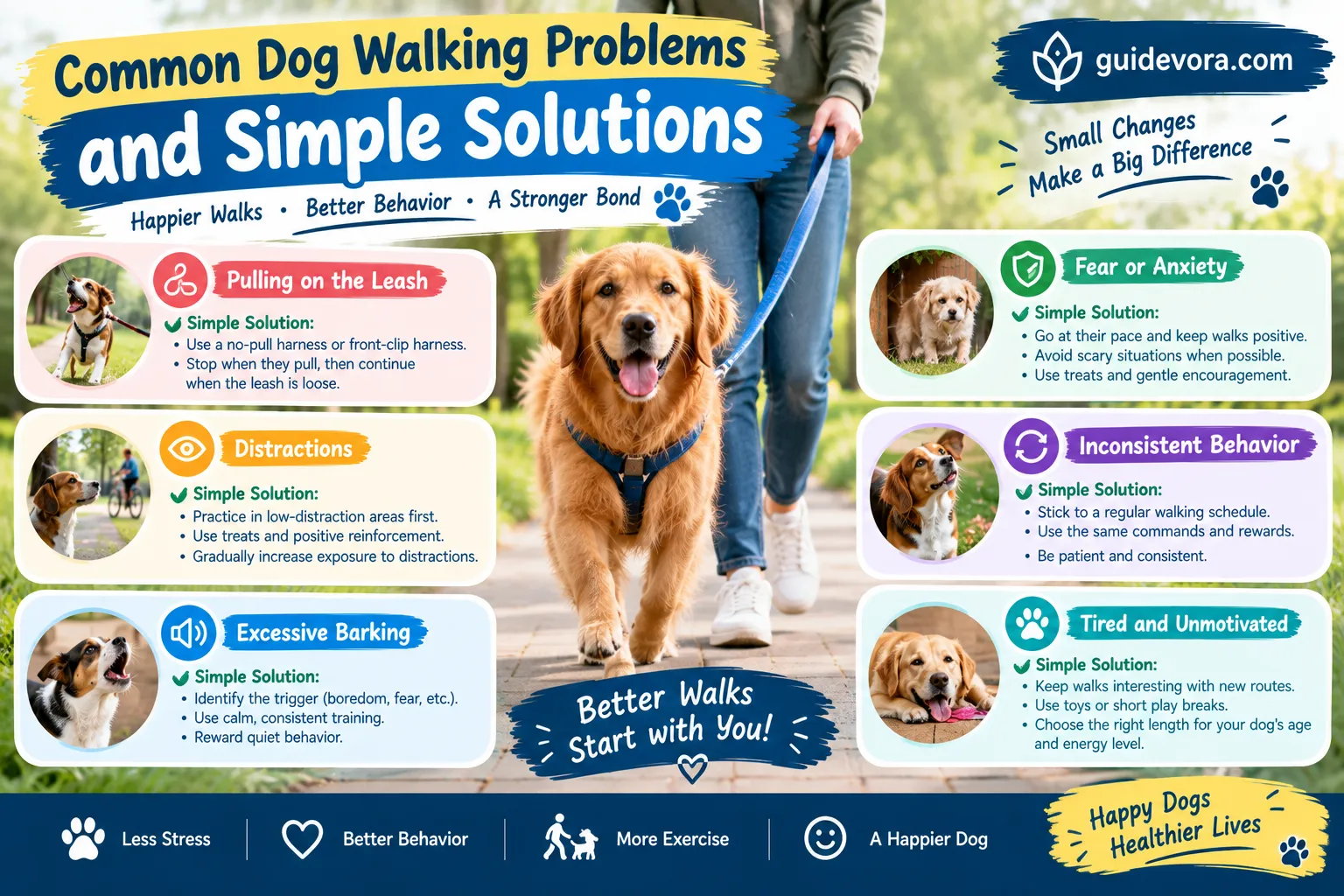 Common Dog Walking Problems and Simple Solutions
