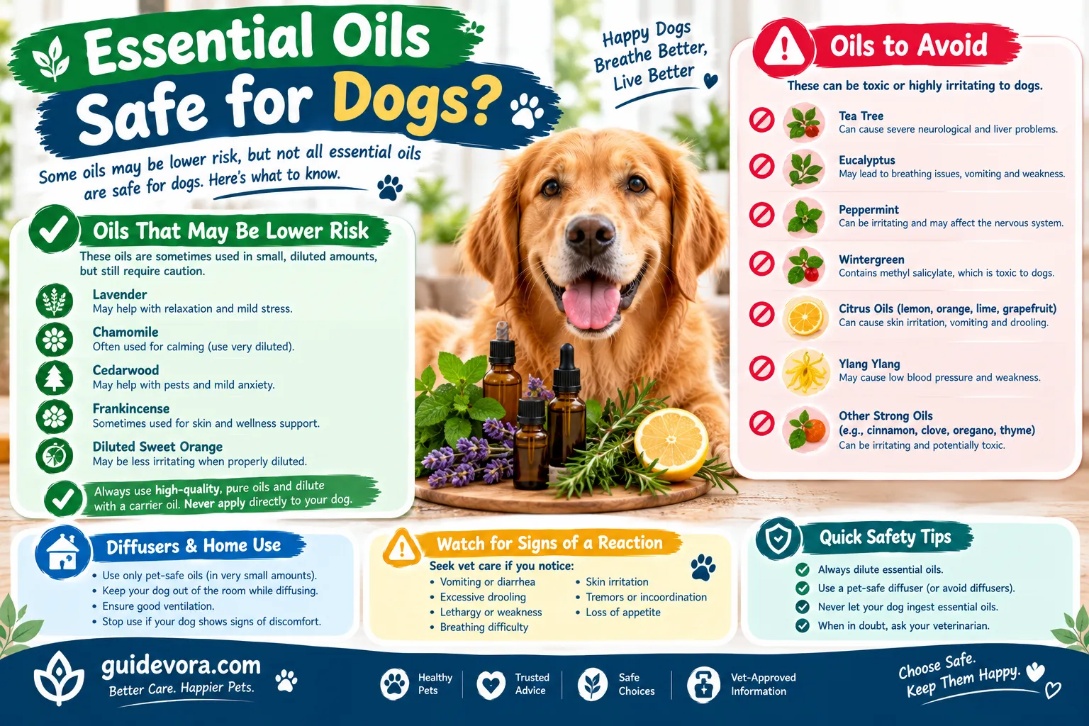 Essential Oils Safe for Dogs