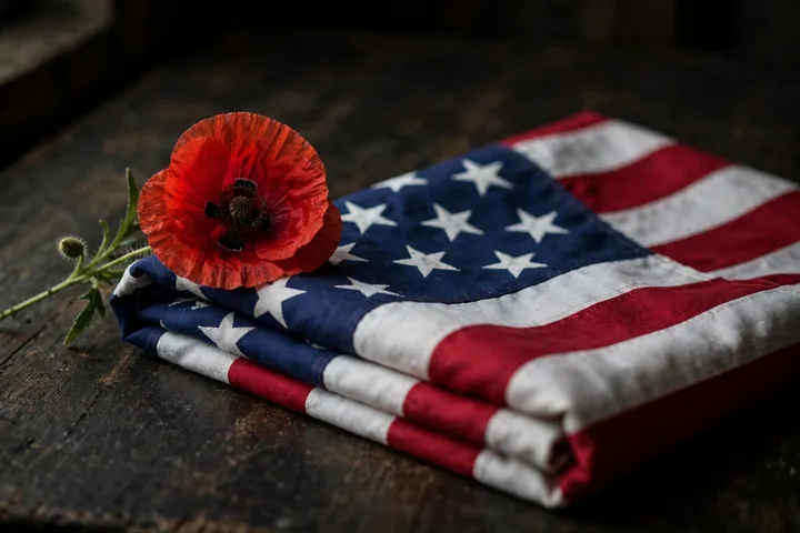 A red poppy resting on a folded American flag